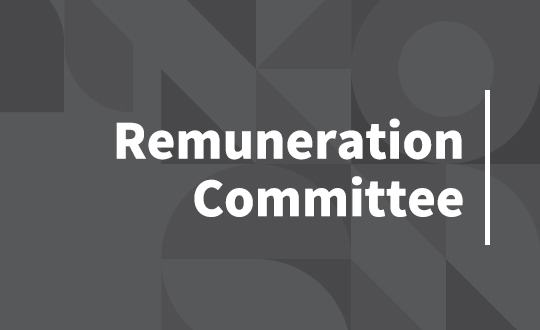 Remuneration Committee