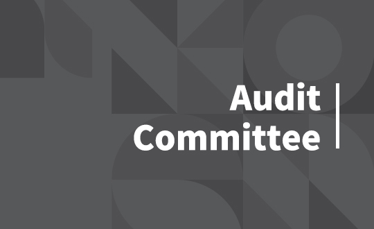 Audit Committee